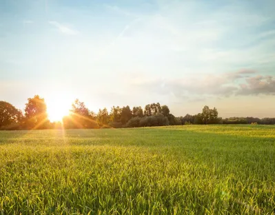 Hållbar utveckling - våra resultat.