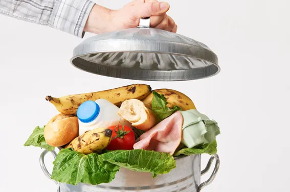 food waste solutions